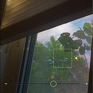 Meet your Posher, Ella